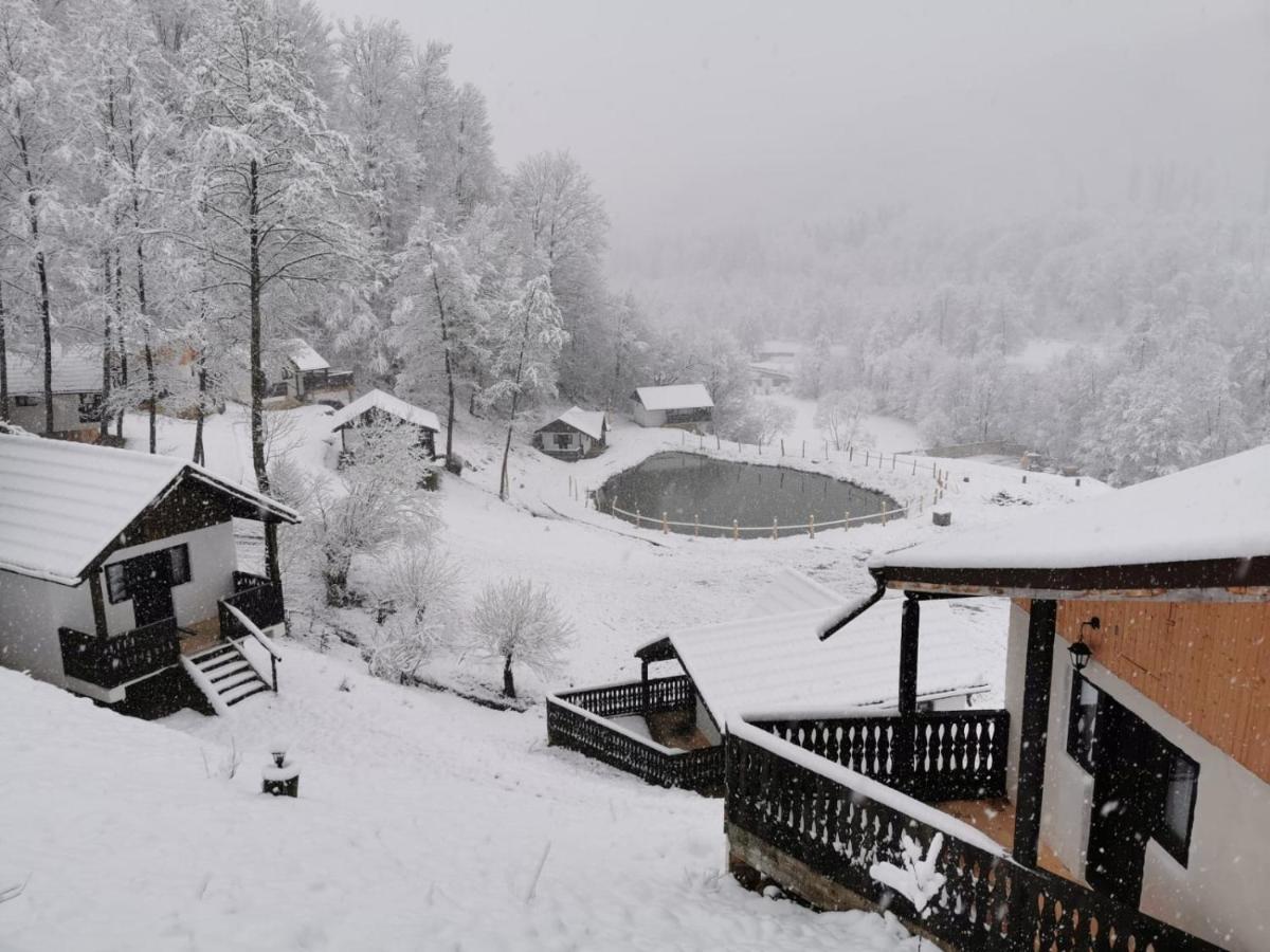 Satu Muscelean Hotel Albestii de Muscel Luaran gambar