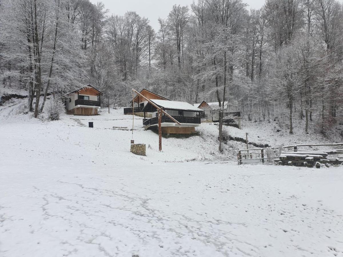 Satu Muscelean Hotel Albestii de Muscel Luaran gambar
